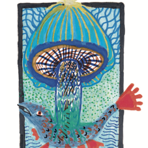 Viktar Žybul — Muränenröhrling (Fishroom)