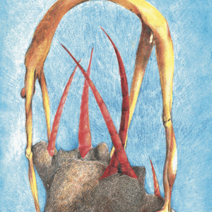 Georgij Bartosh — P.O.V.